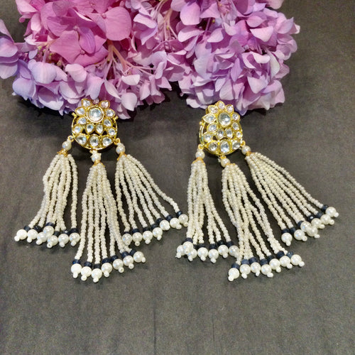 TD1671 EARRING